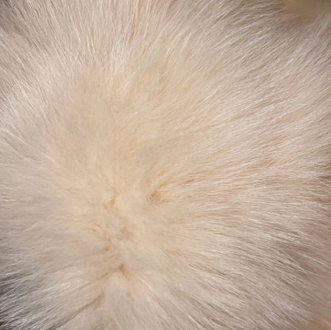 Äkta pälsväst - 90