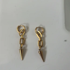 Super fina örhängen  - Super fina guld örhängen köpte dom för 220kr så nu säljer jag dom för: 100kr❤️