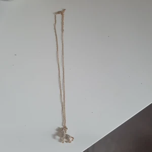 Guldigt halsband - Säljer detta halsbandet pga att jag inte använder det längre.