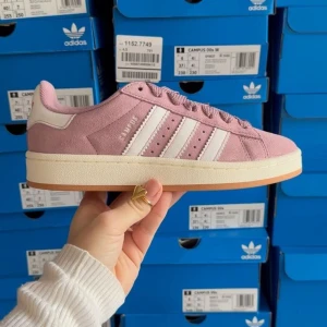Adidas campus 00s violet🌸 -  Säljer dessa helt nya Adidas campus 00s i färgen Violet🌸. Har i storlek 36-40. Box medföljer! Skriv till mig vid eventuella frågor‼️
