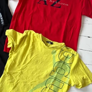 Tischor  - Tidshorisont 