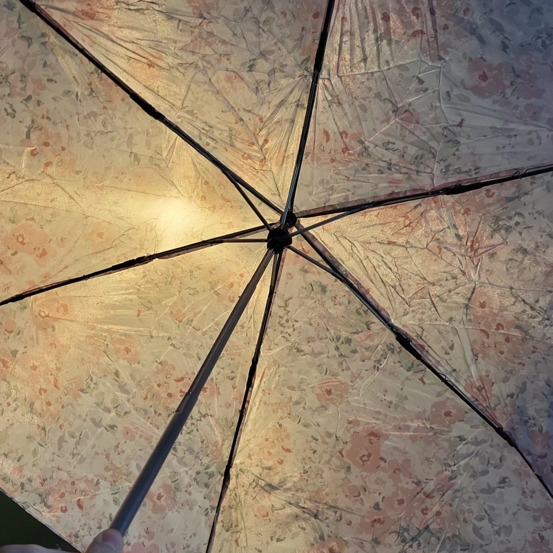 Fin parasol/paraply  - 91