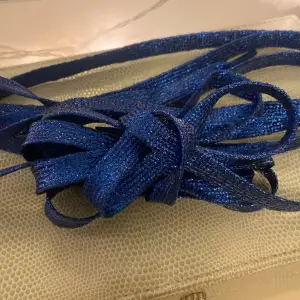 Svin coola blå glittriga skosnören, helt nya! Passar till alla sorgsets skor även höga💙