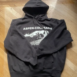 Hoodie  - Hoodie från brandy som jag säljer då den inte kommer till användning!! Hoodien är i onesize men skulle nog tro att den passar storlek L. Skriv för fler bilder/tvättråd! Nypris 418kr