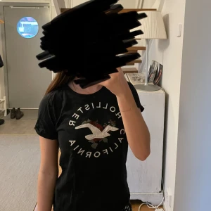 Hollister svart tröja med snyggt tryck. - En svart hollister tröja med snyggt tryck på framsidan. Enkel att matcha till allt. Storlek XS men sitter som storlek S