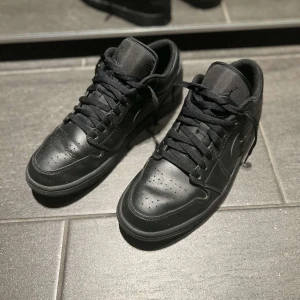 Nike Jordan Low - Nike jordan low, storlek 45, fina skor i fint skick, knappt använda. 