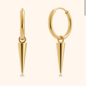 Edblad örhängen guld - bra skick ingenting fel på dom