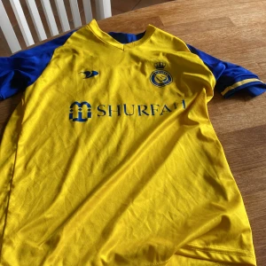 Har blivit för liten för mig al nassr stäl med Ronaldo på pris kan diskuteras  - Fotboll 