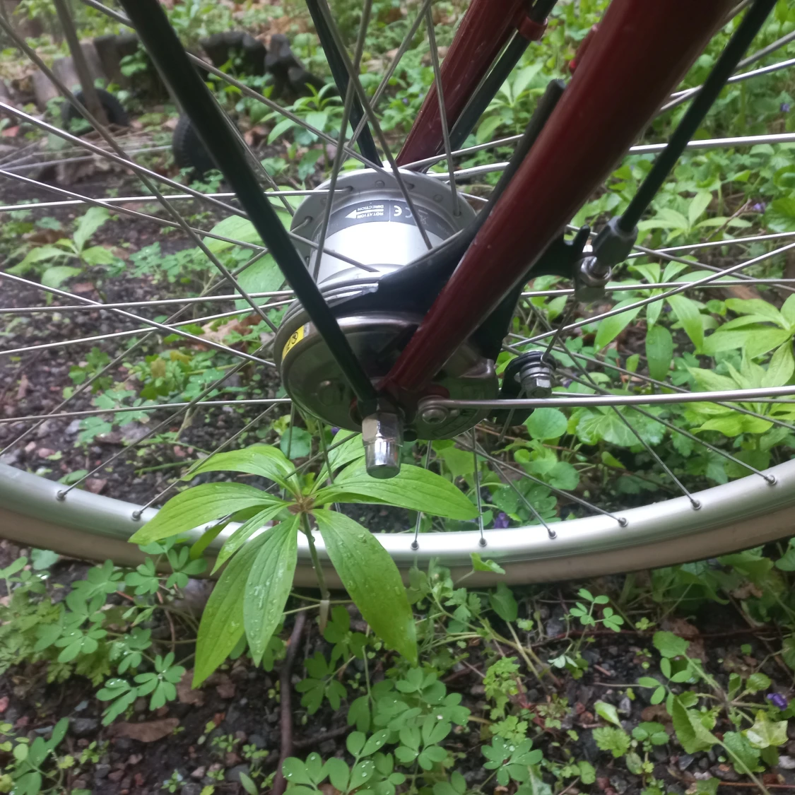 SKEPPSHULT NOVA - 91