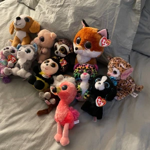 250kr - Dem är i jätte bra skick 8/12 har lappen kvar och frakten om det ska skickas är 60kr men om man vill hämta i säffle är det gratis. Kostnaden på alla djur tillsammans är 250kr och varförsig 25kr säljer dem för jag har inte inträdde kvar för att samla på de