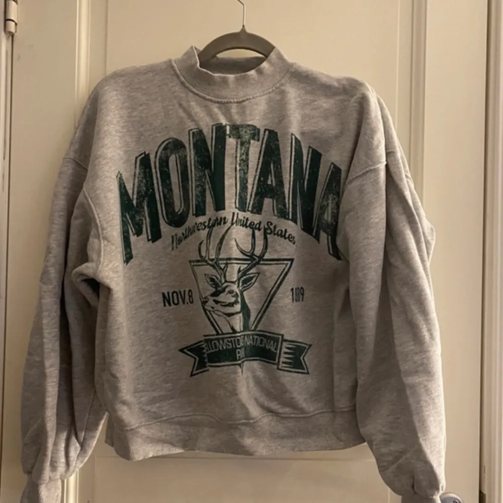 Säljer denna sweatshirt från Bershka stl S! Säljer för 150kr + frakt🫶🏼. Tröjor & Koftor.