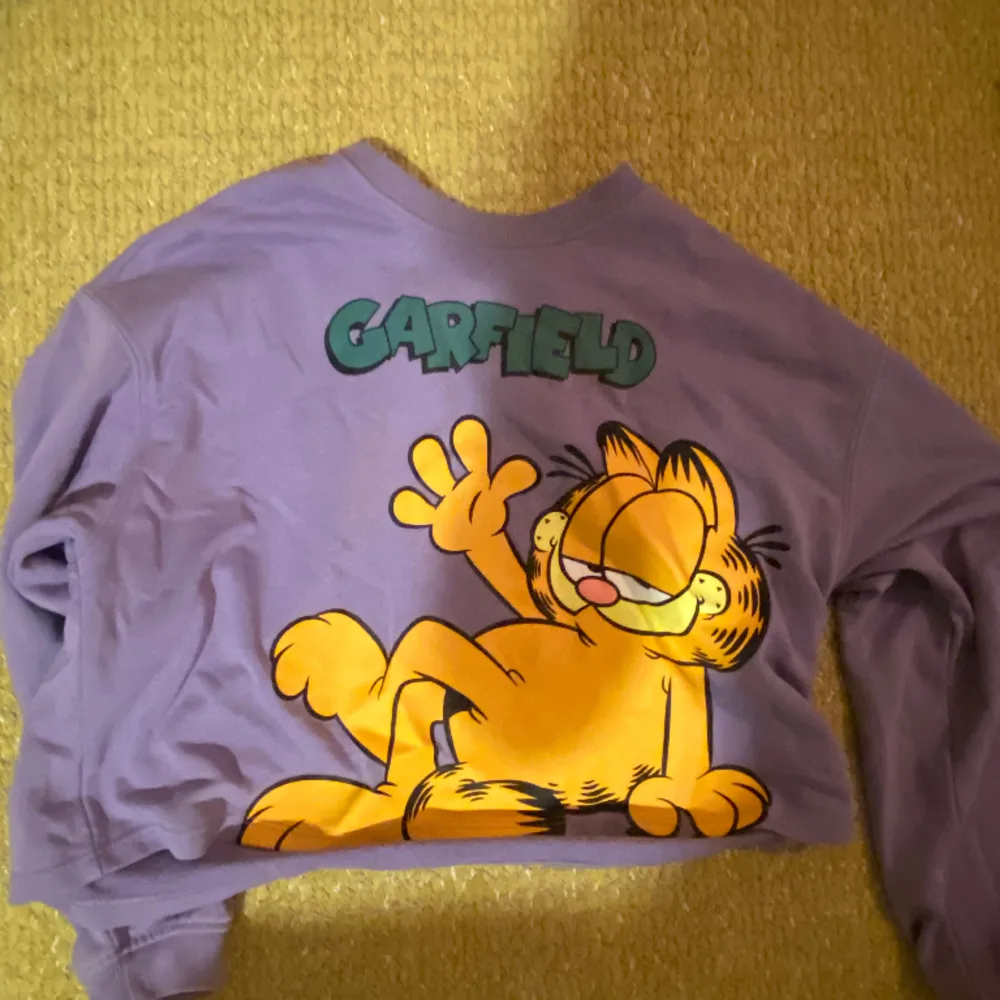 Säljer min Gustav Garfield tröja från hm jättesöt bra skick använd några gånger skriv innan köp pris kan diskuteras från HM . Tröjor & Koftor.