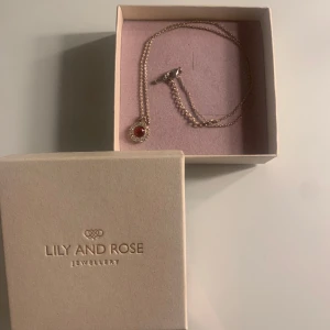 Smycken  - Jättesnyggt halsband från Lily and Rose som inte kommer till användning🩷 