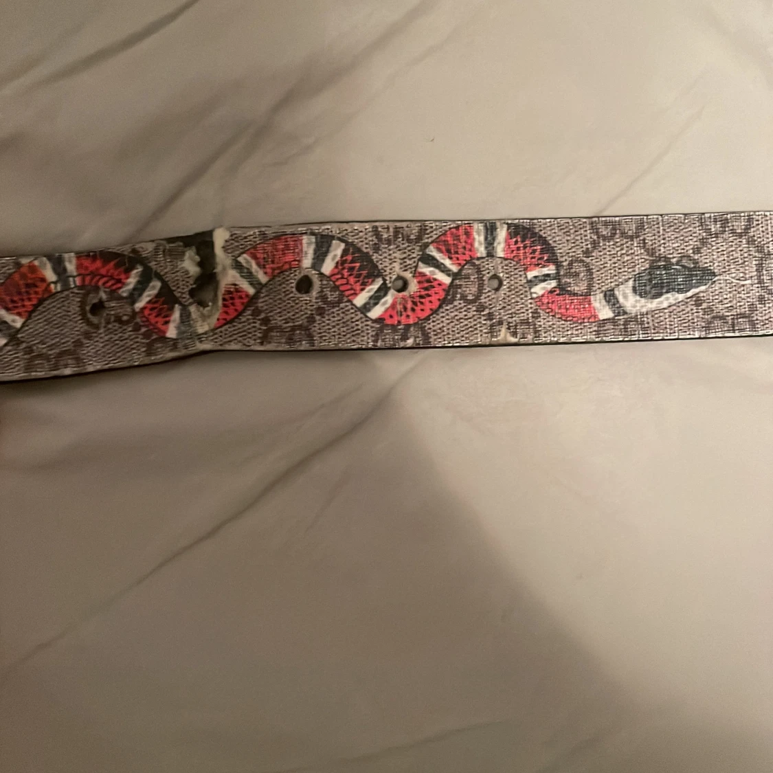 Gucci snake belt - 93