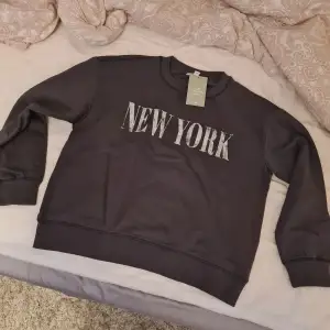 Helt ny sweatshirt från H&M i storlek M. Lapparna är kvar, köp för 300, säljer för 100. Köparen står för frakten💕 Skriv vid frågor💕