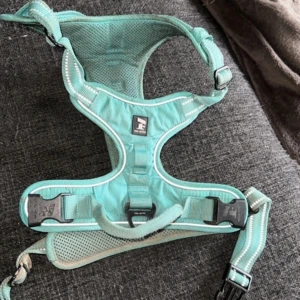 Feel active sele - Köpt ifrån arken zoo för ett tag sedan, väl använd men är hel och fin enbart skitig. Storlek xl. Säljer då den längre inte passar.