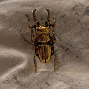 Skalbagge ring - Nu säljer jag min helt nya och så snygga rostfria ring, skriv gärna vid intresse eller funderingar 💕