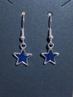 Blå stjärnörhängen som lyser i mörkret - Säljer ett par coola örhängen med blå stjärnformade hängen i metall. Stjärnorna har en glittrig finish och lyser i mörkret för extra effekt. Perfekta för dig som vill sticka ut lite extra! Krokar i silverfärgad metall.