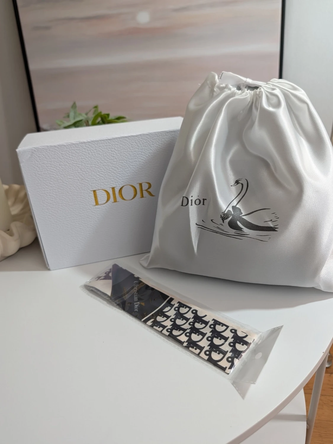 Lady DlOR väska Mini ♥️ - 5