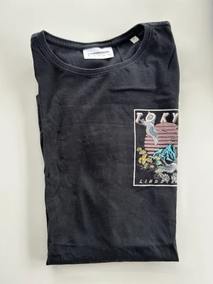 Svart Tokyo t-shirt från Lindbergh - Svart t-shirt från Lindbergh med färgglad Tokyo-inspirerad print på bröstet och ryggen. Motivet har berg, tranor och japanska detaljer i blått, rosa och gult. Klassisk rund hals och korta ärmar. Perfekt för dig som gillar streetwear och grafiska tryck.