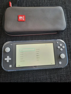 Nintendo switch lite dark grey with cases 128 gb sd card - I would like a quick sale  The console is fully functional.  I'm selling it together with a transparent glitter soft case and a nintendo carrying case. It has a 128 gb sd card that I bought seperately in it.  It has a screen protector, its slightly off center but its not noticeable when playing.  Box and cable is not included, but you can use a normal usb-c cable to charge it