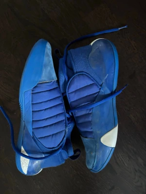 Harden vol 7 - Basketskor 