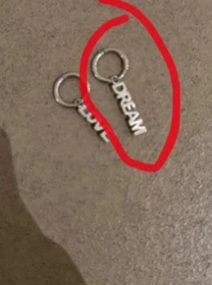 Silvriga örhängen med text - Säljer en silvriga örhängen i ringmodell med hängen där det står dream. Örhänget har en minimalistisk och trendig design, perfekta för att ge din look en personlig touch.