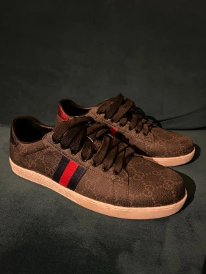 Gucci Ace skor - Gucci Ace skor i storlek 43, väldigt bra skick hör av dig vid fler funderingar!!