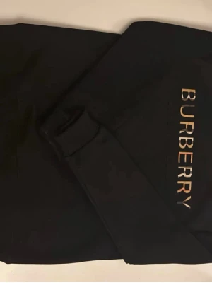 Svart hoodie från Burberry - Snygg svart hoodie med luva  från Burberry med loggan tryckt vertikalt i flera färger på bröstet. Klassisk passform med långa ärmar och ribbade muddar. Perfekt för dig som gillar stilrena märkeskläder och vill ha något som sticker ut lite extra.