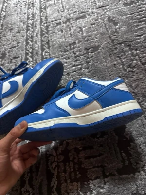 Nike Dunk Low blå och vita sneakers - 39