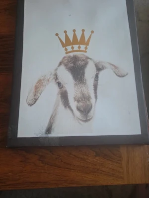 Två tavlor med djurmotiv - Säljer två tavlor med djurmotiv. Den ena har en get med en guldfärgad krona ovanför huvudet, och den andra visar en bagge i svartvitt med texten 'Stay inspired' i orange. Båda tavlorna har svart ram och tryckt motiv på papper.