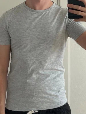T-shirt  - Grå T-shirt. Storlek S.