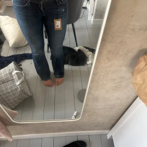 Mörkblå bootcut jeans från Levis - (26w)Säljer ett par mörkblå bootcut jeans med klassisk femficksdesign och normalhög midja. Jeansen har en snygg tvätt och subtila kontrastsömmar. Passar perfekt till en avslappnad men ändå trendig stil.
