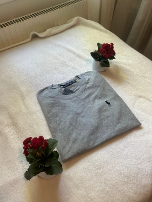 Grå t-shirt från Ralph Lauren - Snygg grå t-shirt från Ralph Lauren med klassisk rund hals och ikoniska broderade loggan på bröstet. Tillverkad i mjuk bomull som känns skön mot huden. Perfekt för en clean och stilren look.