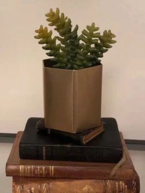Konstgjord Växt  - Två konstgjorda suckulenter i olika krukor, en fyrkantig guldbrun och en rund vit. Perfekta som dekoration till skrivbord eller hylla. Växterna är gröna med inslag av gult och har en modern look. Tillhörande vas till om så önskas