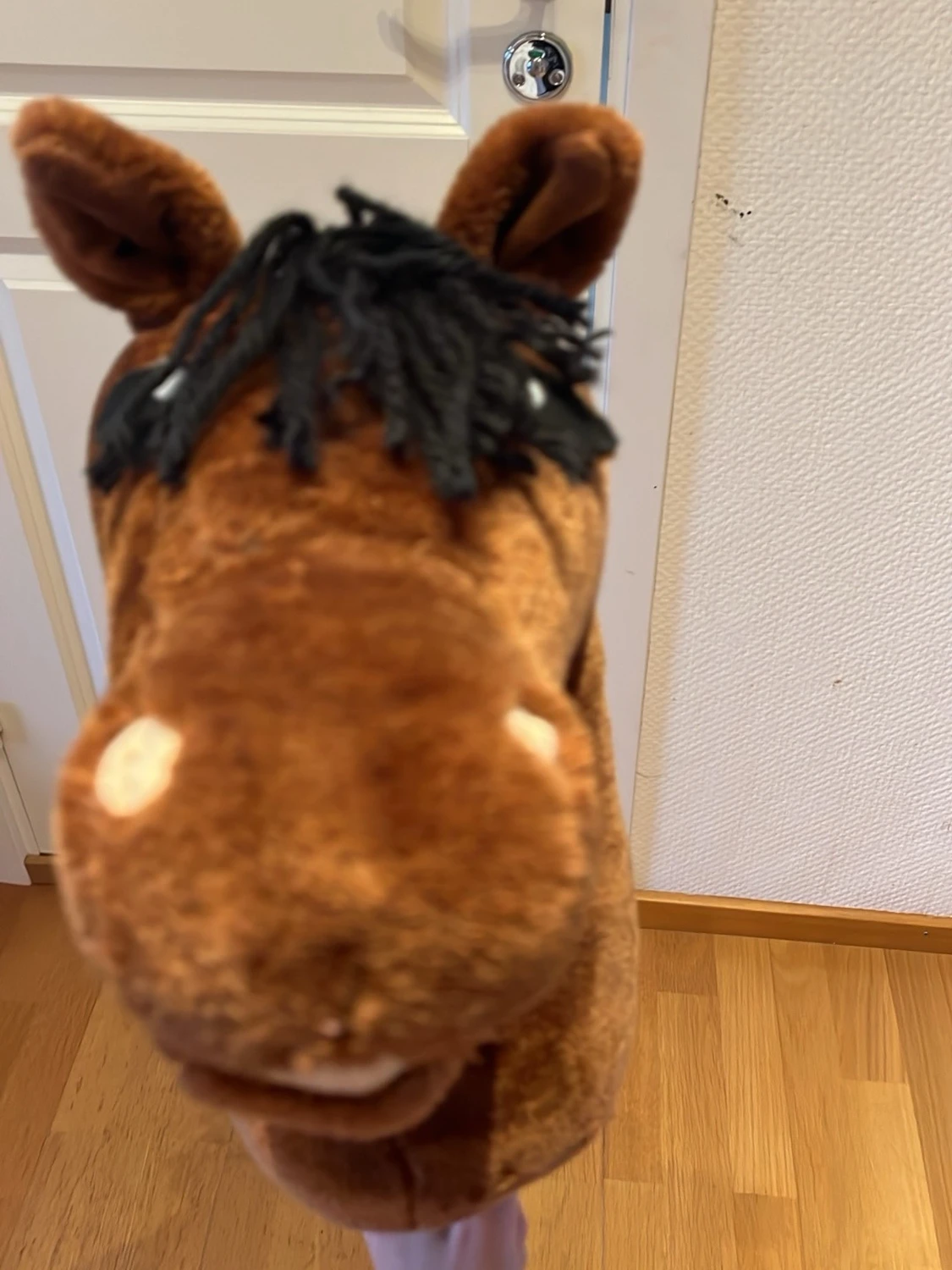 Brun käpphäst med svart man