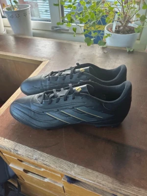 Copa Pure 2 Club FxG fotbollsskor  - Copa Pure 2 Club FxG fotbollsskor  Använda 1 gång Storlek 46 Box medföljer Skriv vid frågor eller funderingar!