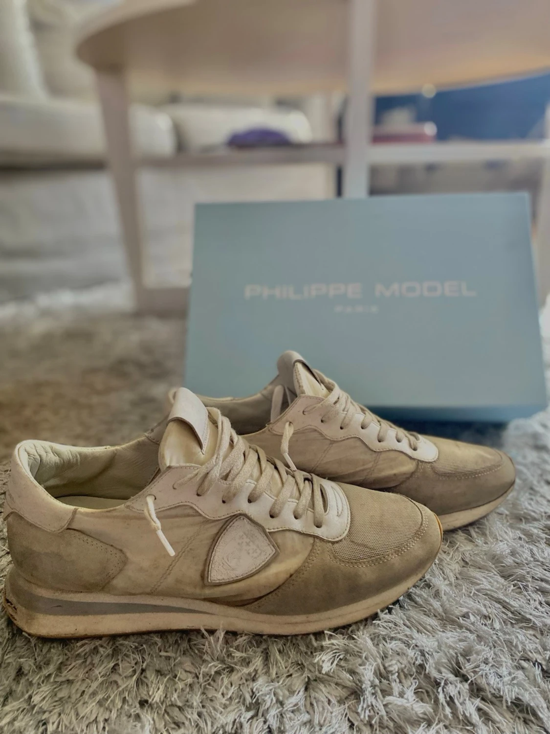 Philippe model