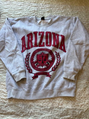 Sweatshirt Arizona FSBN - Snygg grå sweatshirt från FSBN i relaxed fit med stort rött Arizona-tryck och universitetslogga framtill. Tröjan har ribbade muddar vid ärmslut och nederkant. Perfekt för en avslappnad och trendig look.