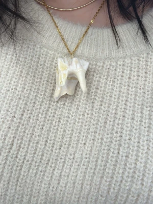 Guldhalsband med tand - Unikt halsband med ett guldigt kedja och ett stort, naturligt tandhängr i vitt och krämfärgade toner. Ger ett coolt och trendigt uttryck. Perfekt för dig som gillar statement-smycken och strandvibbar.