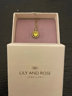 Gult halsband från Lily and Rose - Snyggt halsband från Lily and Rose med ett runt hänge i guldton. Hänget har en stor gul sten i mitten omgiven av mindre glittrande stenar som ger en lyxig känsla. Kedjan är tunn och elegant, perfekt för att lyfta vilken outfit som helst.