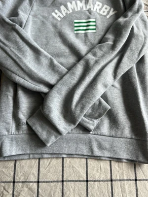 Grå Hammarby hoodie från Craft - Snygg grå hoodie från Craft med Hammarby-tryck och gröna ränder på bröstet. Mjuk bomullsblandning, långa ärmar och ribbade muddar. Perfekt för dig som vill visa ditt stöd för Hammarby och samtidigt vara bekväm.