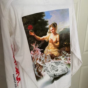 Long sleeve  - Skick 9/10 pris 150kr, 