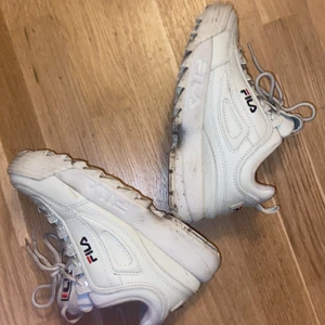 Fila skor , använt två gånger sen köpet - Köptes 1,5 år sedan original pris 900 kr skriv om ni intresserade betala swish