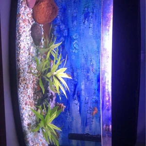 Akvarium 120L - Säljer nu mitt akvarium på 120L Ingår:  Fungerande vattenpump (ny bytt filter)  Fungerande termometer Fungerande lysrör Stenar/grus/växter/byggnad Mat (nästan ny)/matpinnar(nästan ny) AquaSafe (nästan slut) 9st tetror 2st rubingurami 4-7 guppis bebisar 3 malar Håv Skrapa  Tar swish, finns i centrala sundsvall 