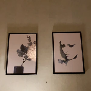 Tavlor  - Fina tavlor i måtten 31 x 22 cm inkl ramen. Pris 30/st eller båda för 50kr. 