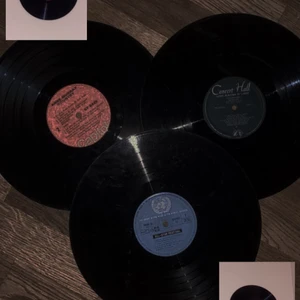 SKIVOR  - 5 st skivor! Köptes från 100-300kr st. Kan användas till dekoration (till vägen) buda!! Börjar från 50 kr 