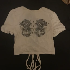 Top med drake  - Poop