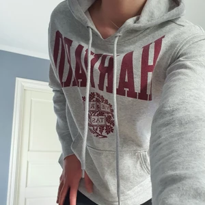 Hoodie H&M - Grå H&M hoodie med tryck i stl s. Köpt för några år sen men den har inte kommit till tillräcklig användning. Bra skick och skönt tyg! 