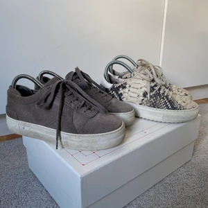 Axel arigato sneakers, storlek 37 - Ett par grå och ett par snakeprint Alexarigato sneakers. Ett par 200, båda för 300:- (+frakt)